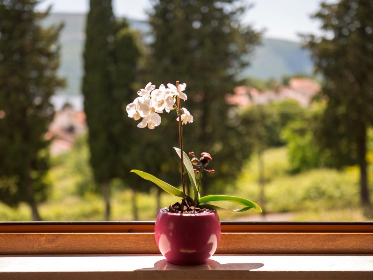 Cicciobello Lux Apartment Baosici With Stunning Sea View Esterno foto